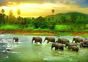 Eurographics Rainforest 1000-Piece Puzzle
