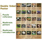 BBOLDIN Vintage Mushroom Puzzle 1000 Pieces - Colorful Cardboard Jigsaw of 25 Edible Mushrooms for Mycophiles, Model B0BD6MZJT2_CA N