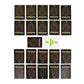 Regal Games Garbage Monsters Family Card Game
