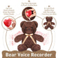 2 Pcs Bear Stuffed Animals With Voice Recorder Set, 60 Seconds Voice Sound Recorder Module 16 Inch Soft Plush Bear Cute Stuffed