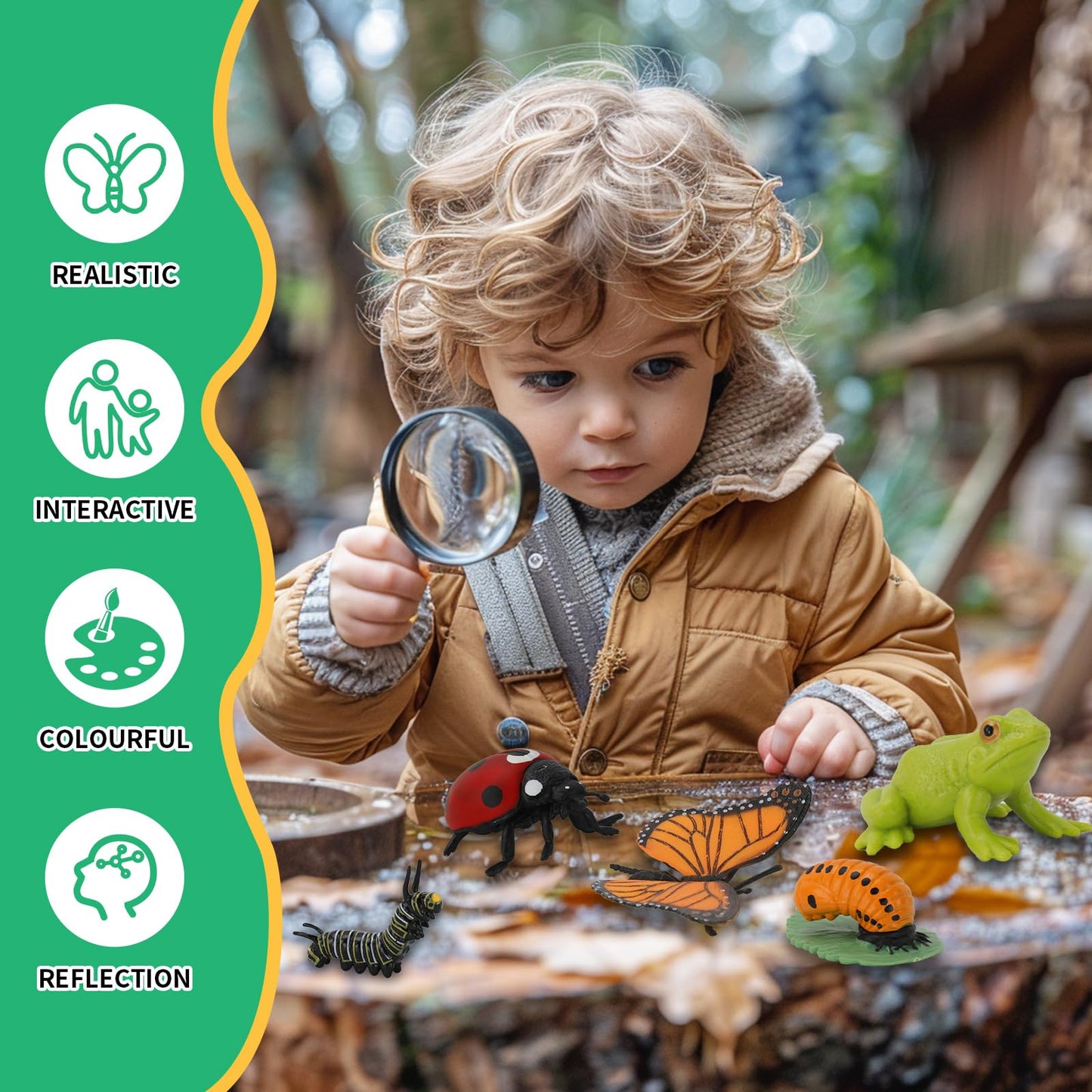 Montessori Life Cycle Learning & Education Toys - Plastic Insect Ladybug, Monarch Butterfly, And Tadpole-To-Frog Kit For Kids, P