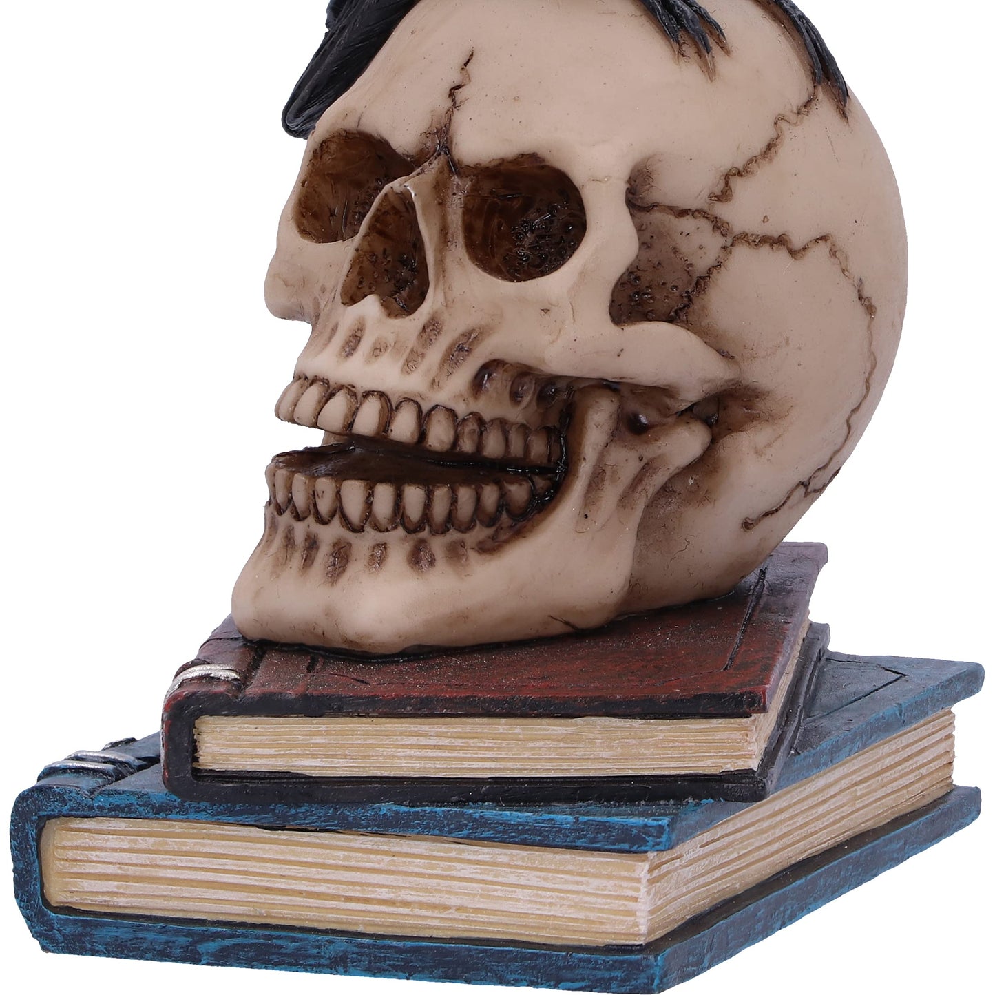 Nemesis Now Raven's Spell 10.3cm  Black U5744U1