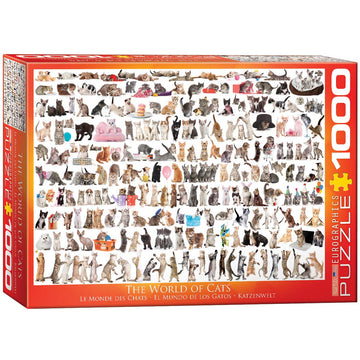 The World Of Cats