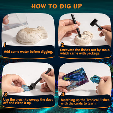 Gobidex Ocean Life Fish Dig Kit, Excavate 12 Simulated Marine Fish Science Kits For Kids Age 6-8-12, Stem Learning & Education Toys, Party Favors Gift For Kids Boys & Girls Age 6+ Year Old