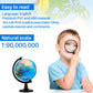 Henoyso 6 Pcs 4.6'' World Globe for Kids Learning Mini Desk Classroom Decorative Earth Globes with Black Stand Educational Rotat