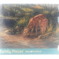 Cobblehill Cbl54626 Puzzle, Various