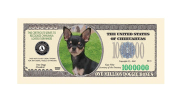 Chihuahua $Million Dollar$ Novelty Bill Collectible