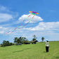 Beach Kites For Adults Large With Long Tail, 98 Inches Super Easy Flyer 3D Rainbow Box Kites, Come With 49 Feet Multi Colors Tails X 2, 300 Ft Kite String & Handle (Rainbow)