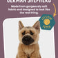 Living Nature German Shepherd Stuffed Animal | Fluffy Dog Animal | Soft Toy for Kids | 8 inches