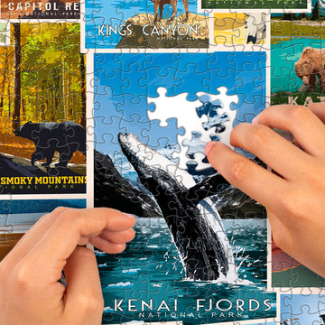 1000 Piece Jigsaw Puzzle - National Parks Puzzle