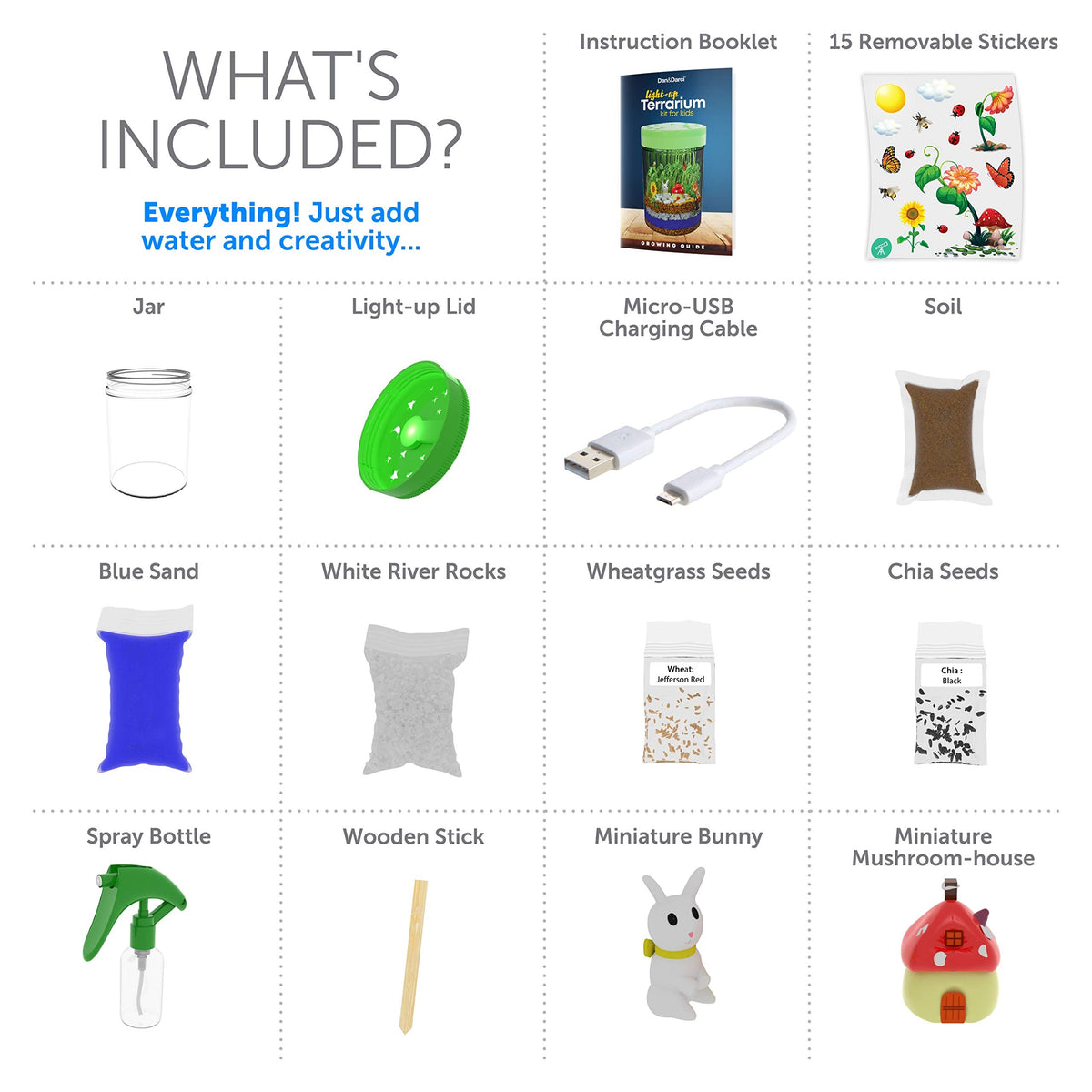 Educational Light-Up Terrarium Kit