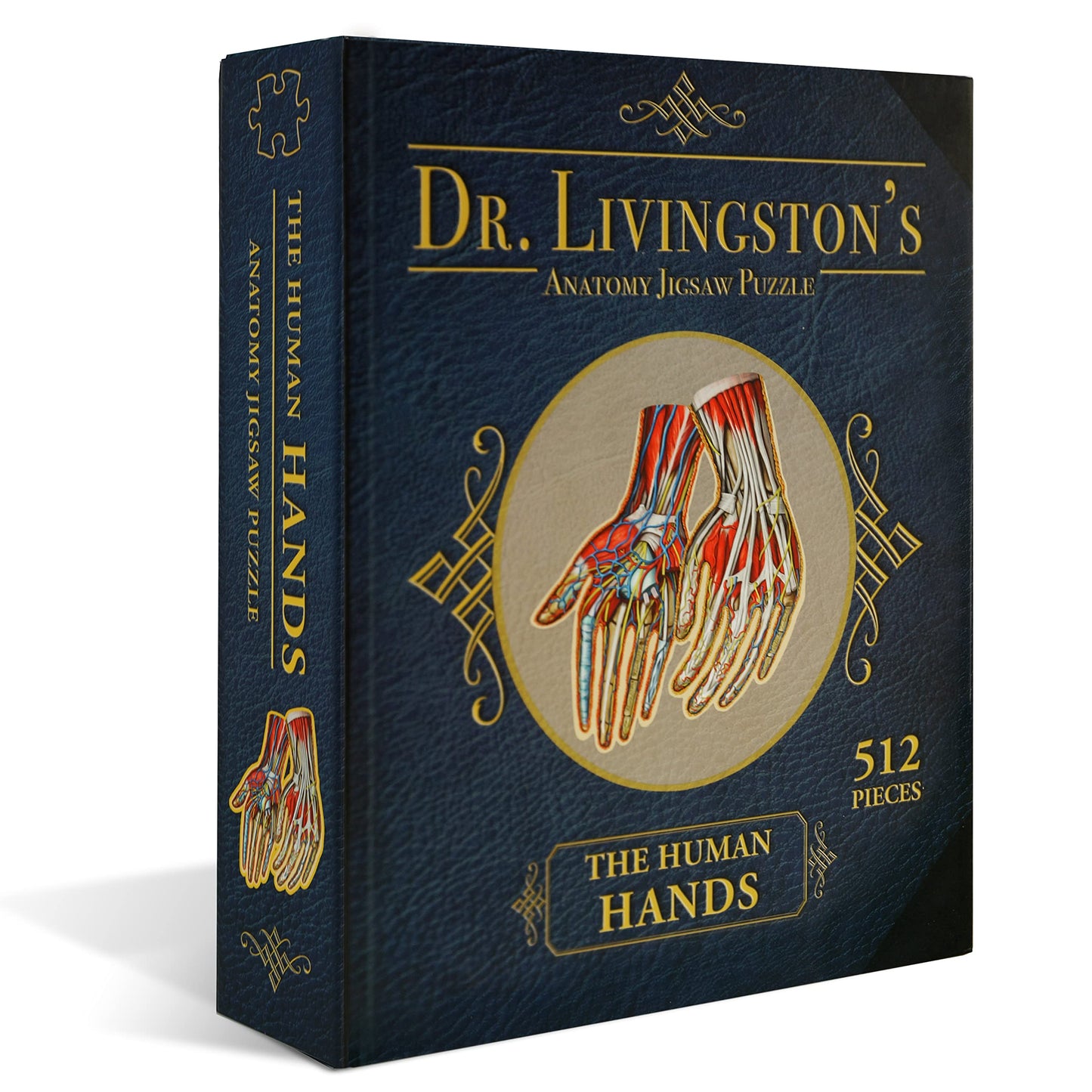 Genius Games Dr. Livingston's Human Hands Anatomy Puzzle - Medically Accurate Cardboard Jigsaw, Model 231085, Educational Toy for Science Lovers