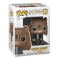 Funko 35509 Harry Potter Hermione as Cat Pop Vinyl Figure