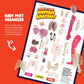 Human Anatomy Squishy Body Model - Science Kits For Kids Ages 4-8 - Stem Toys For 4 5 6 7 8 Year Old Boy Birthday Gift - Learnin