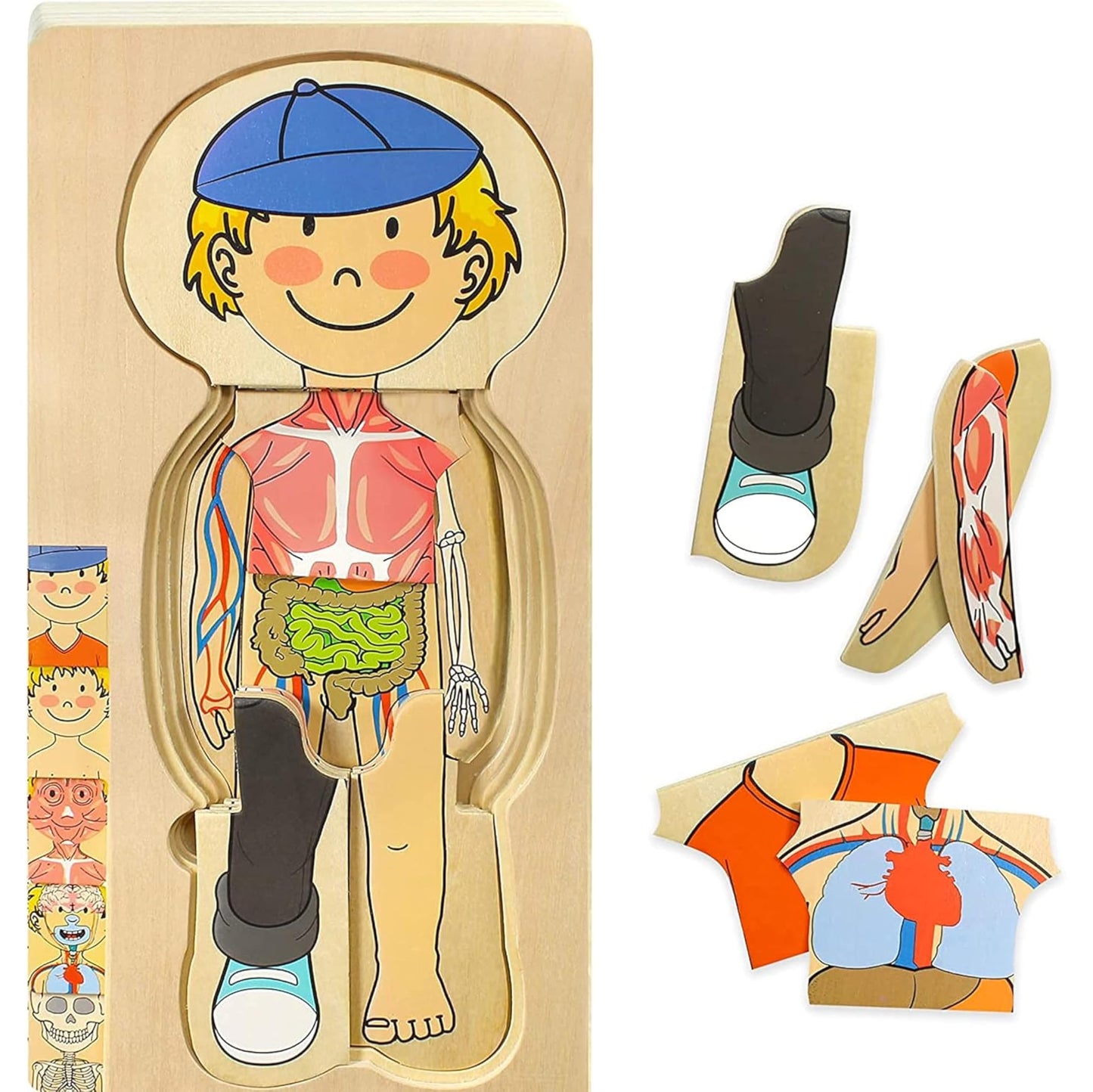 Kidzlane Boy Wooden My Body Puzzle for Toddlers & Kids - 29 Piece Boys Anatomy Puzzle Kid Play Set - Anatomy for Kids  Skeleton Toys for Children Ages 3 Plus