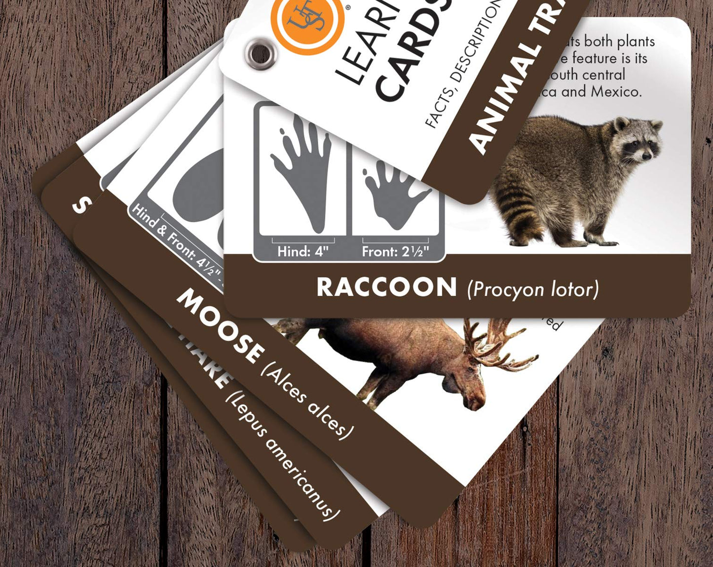 Ust Learn & Live Educational Card Set, Animal Tracking