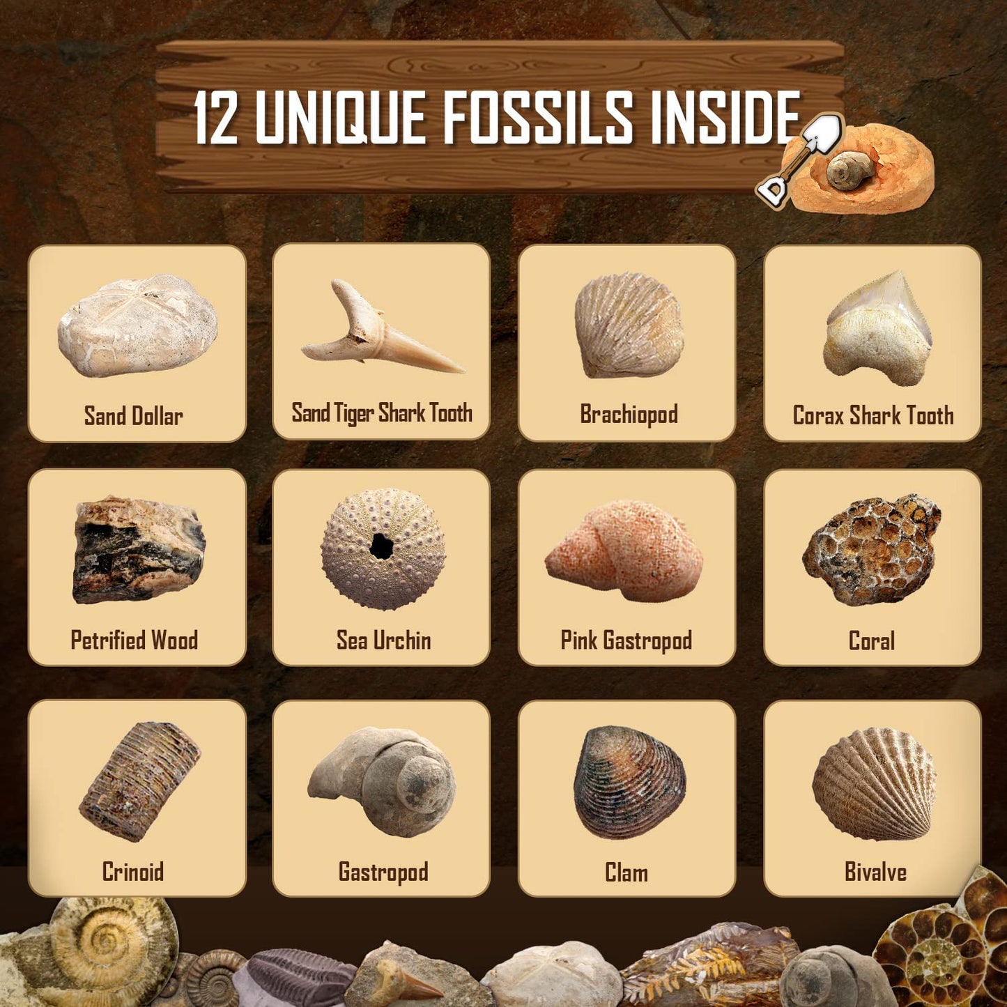Byncceh Fossil Dig Kit - Educational Stem Science Toys For Kids Ages 6+ - Dig Up 12 Fossils Real & Dinosaur Bones Rocks - Digging Activities Kits - Paleontology, Discovery Gifts For Boys & Girls