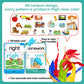 Wjpc 275 Cards, 530Pcs High Frequency Sight Words Flash Cards With Pictures, Sentences, For (Pre-Kindergarten, 1St, 2Nd, 3Rd 4Th Grade, 4,5,6,7,8,9,10,11 Years Ages Kids Preschool, Homeschool