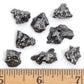 DANCING BEAR Meteorite from Space, 5 pcs Campo del Cielo from Argentina/Educational Card & Magnifying Box