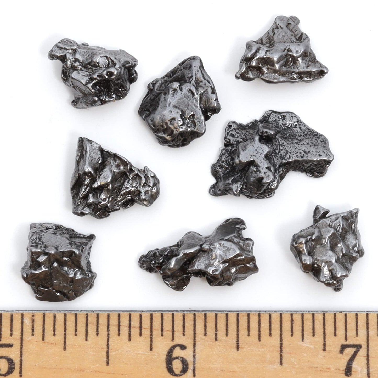 DANCING BEAR Meteorite from Space, 5 pcs Campo del Cielo from Argentina/Educational Card & Magnifying Box