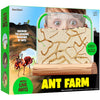 Ant Farm Kit For Kids - Farms Colony - Includes Ants Voucher - Sand Habitat Kits - Bug Terrarium House - Educational Science Gifts For Kid - Nature Learning Toys For Boys, Girls & Adults