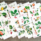 Flonzgift Flowers Roses Playing Cards (Poker Deck 54 Cards All Different) Vintage Graden Flowers Roses Wildflowers Engraving Painting By Redoute