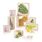 Guidecraft Treasure Blocks - Clear: Smooth Wooden Observation Stacking Blocks with Transparent Windows, Educational Toy for Kids