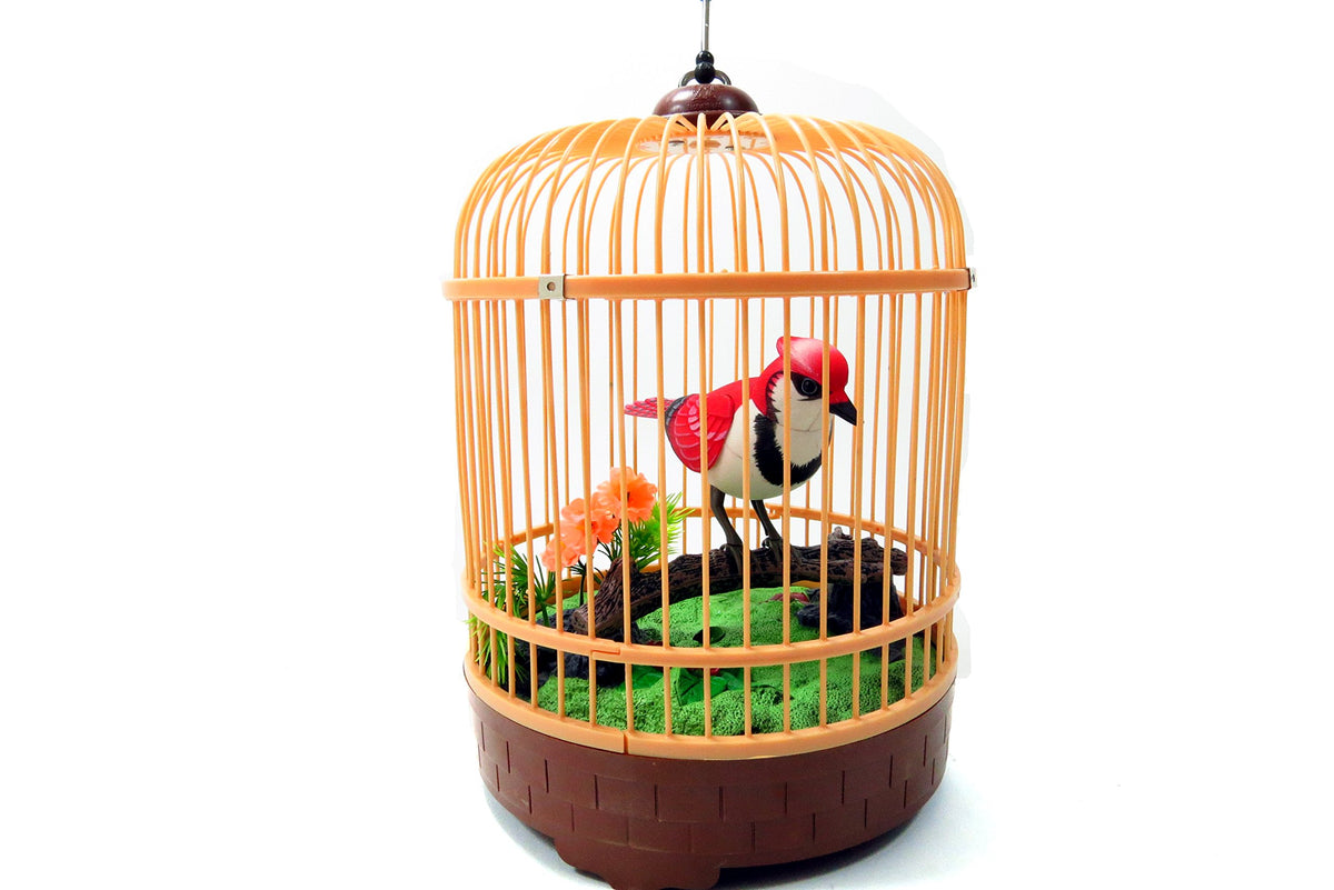 AZ Import and Trading BC507E Singing and Chirping Bird in CAGE  Realistic Sounds and M