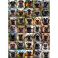 1000 Pieces Jigsaw Puzzles For Adults - Dog Snouts Delight - Unique Dog Puzzle For Family Fun - Challenging Puzzle Perfect For G
