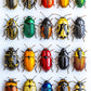 Bgraamiens Puzzle- 3D Visual Colorful Beetles Jigsaw Puzzles For For Adults 1000 Pieces,Bugs Jigsaw Puzzles For Adults 1000 Piec