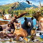 Baby Fanatics MasterPieces 500 Pieces Jigsaw Puzzle for mature-themeds  Family  Or Kids - Rocky Mountain National Park - 15x21