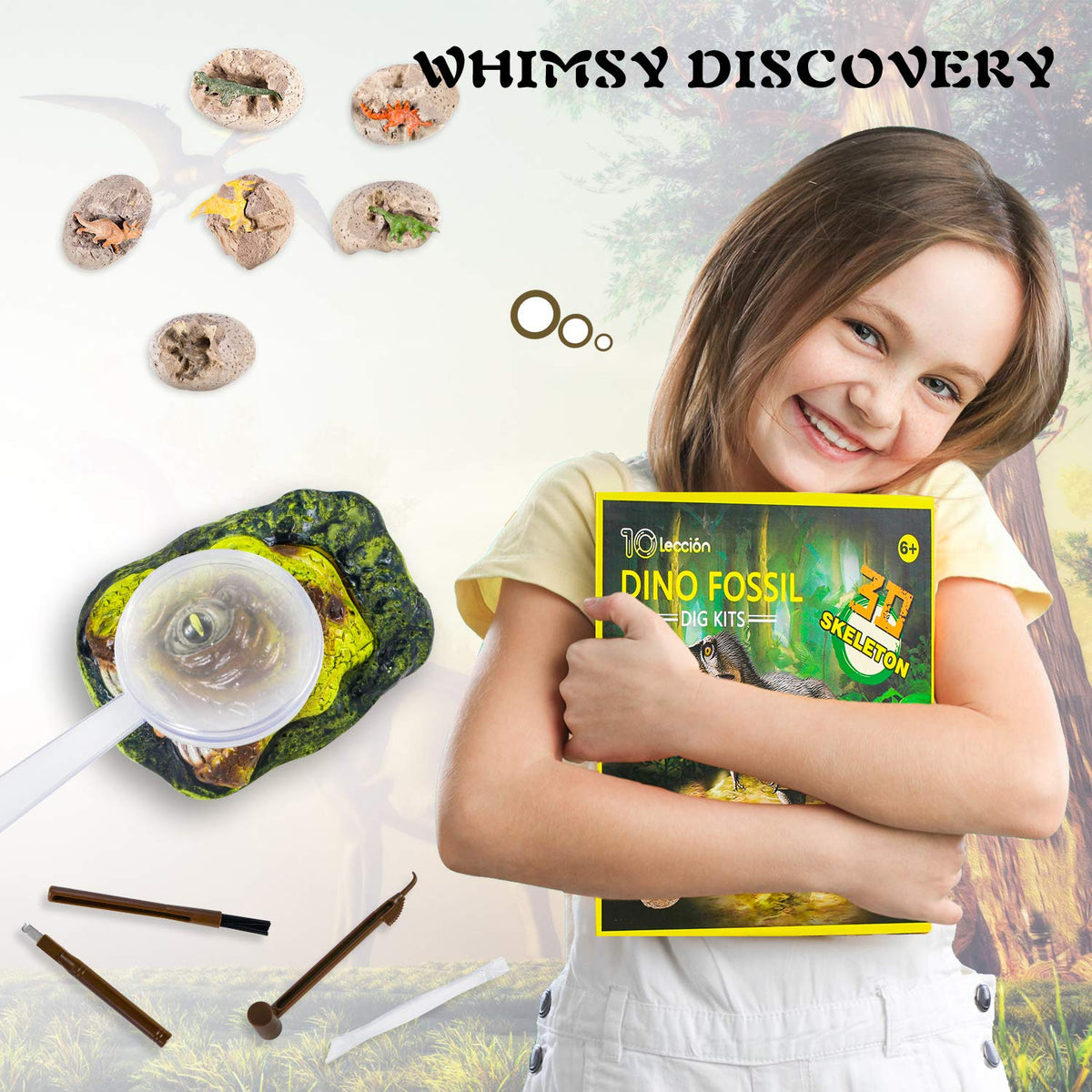 Premium STEM Fossil Digging Kit