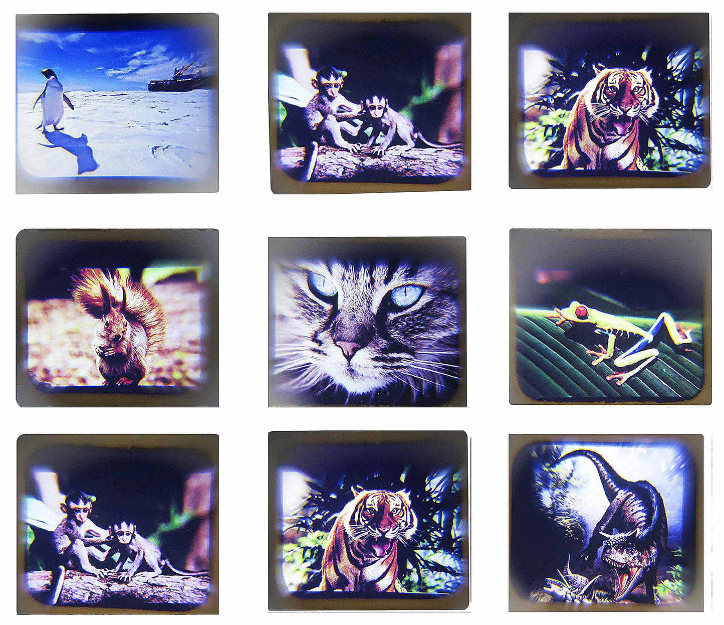 Septcity 3D View Masters For Kids With 2 Reel