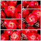 Yeabricks Led Light For Lego-10328 Icons Bouquet Of Roses Building Blocks Model (Lego Set Not Included)