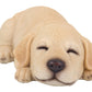 Sleeping Yellow Labrador Retriever Puppy Figurine