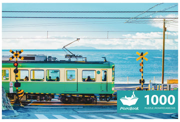 Puzzles For Adults 1000 Pieces, Momibook Jigsaw Puzzles Of Seaside Train, Painting Image 75X50Cm(29.5''X19.7'') Toys & Game Puzz