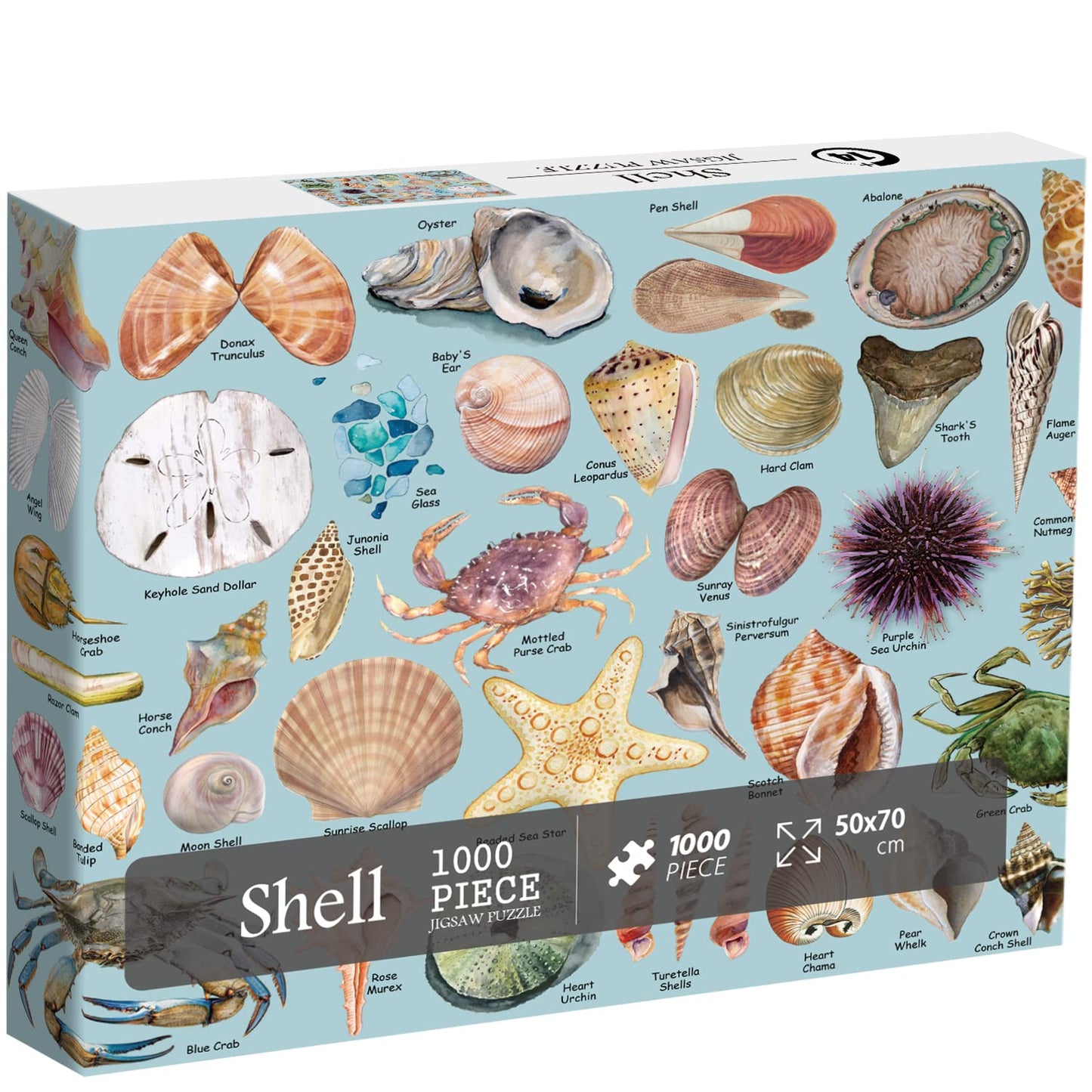 Sea Shells Puzzles For Adults 1000 Pieces, Beach Puzzle Featuring 41 Colorful Seashells, Ocean Scenes Jigsaw Puzzles Includes Se