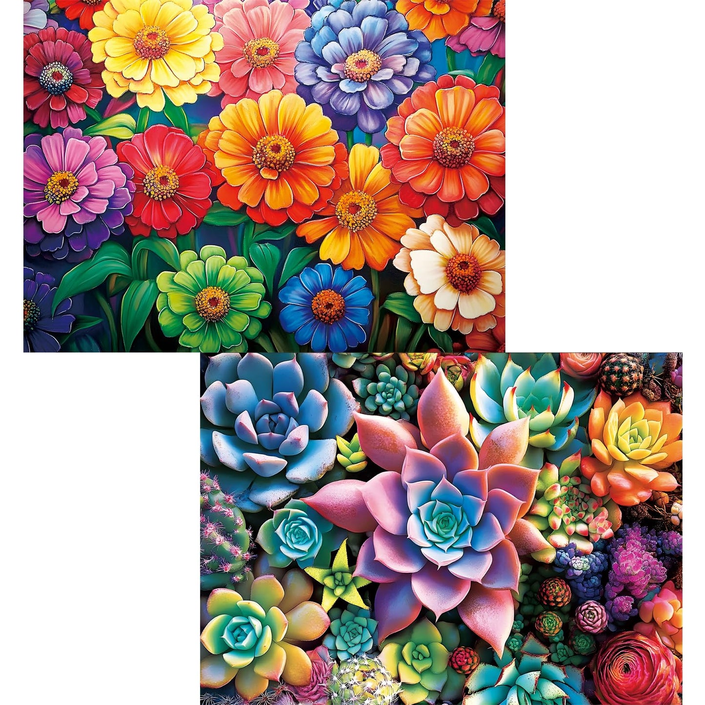 300 Piece Puzzle for Adults,Flowers & Succulents Jigsaw Puzzle for Adults Teens,Large Piece Puzzle for Kids Ages 8-10 10-12,Glos