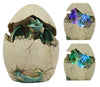Ebros Emerging Dragon Egg Hatchling With Color Changing Led Night Light Figurine Dragonling Wyrmling Dungeons And Dragons Decor Statues And Figurines Renaissance Medieval Fantasy Creature