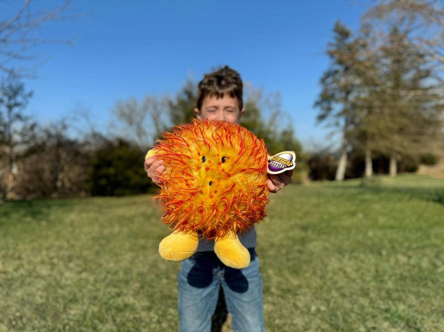Celestial Buddies Sun Buddy Learning Science Astronomy Space Solar System Educational Plush Blue Planet Toys