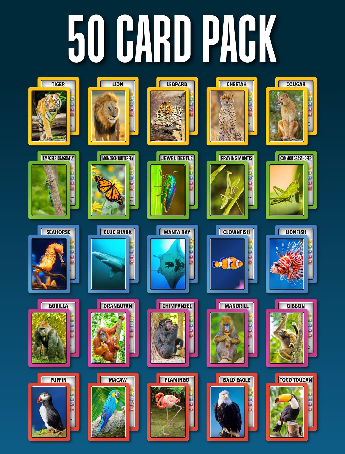 100 Pics Smart Cards Animals, 7 Games In 1, Pairs, Snap, Trumps, Rummy, Memory Quiz, Learn Facts, Travel Game, Gift, Stocking Stuffer, 50 Cards, Age 5+, 1-8 Players