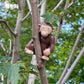 Haba Little Friends Monkey - Chunky Plastic Zoo Animal Toy Figure (2.5' Tall)