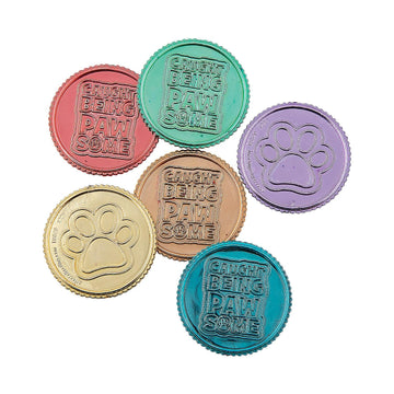 Fun Express Pawsome Reward Coins - 144 Pieces - Educational And Learning Activities For Kids