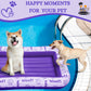 Schwimmer Dog Pool Float - enhanced Pool Float for Large Dogs up to 220lbs - Durable & Inflatable Dog Raft for Pool & Lake - Comfortable & Safe Floating Mat for Summer Fun - Purple