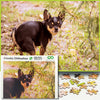Better Me Prank Puzzle - 500 Piece Cheeky Chihuahua Pooping Dogs Gag Gift for Adults & Teens, Cardboard Fun Puzzle