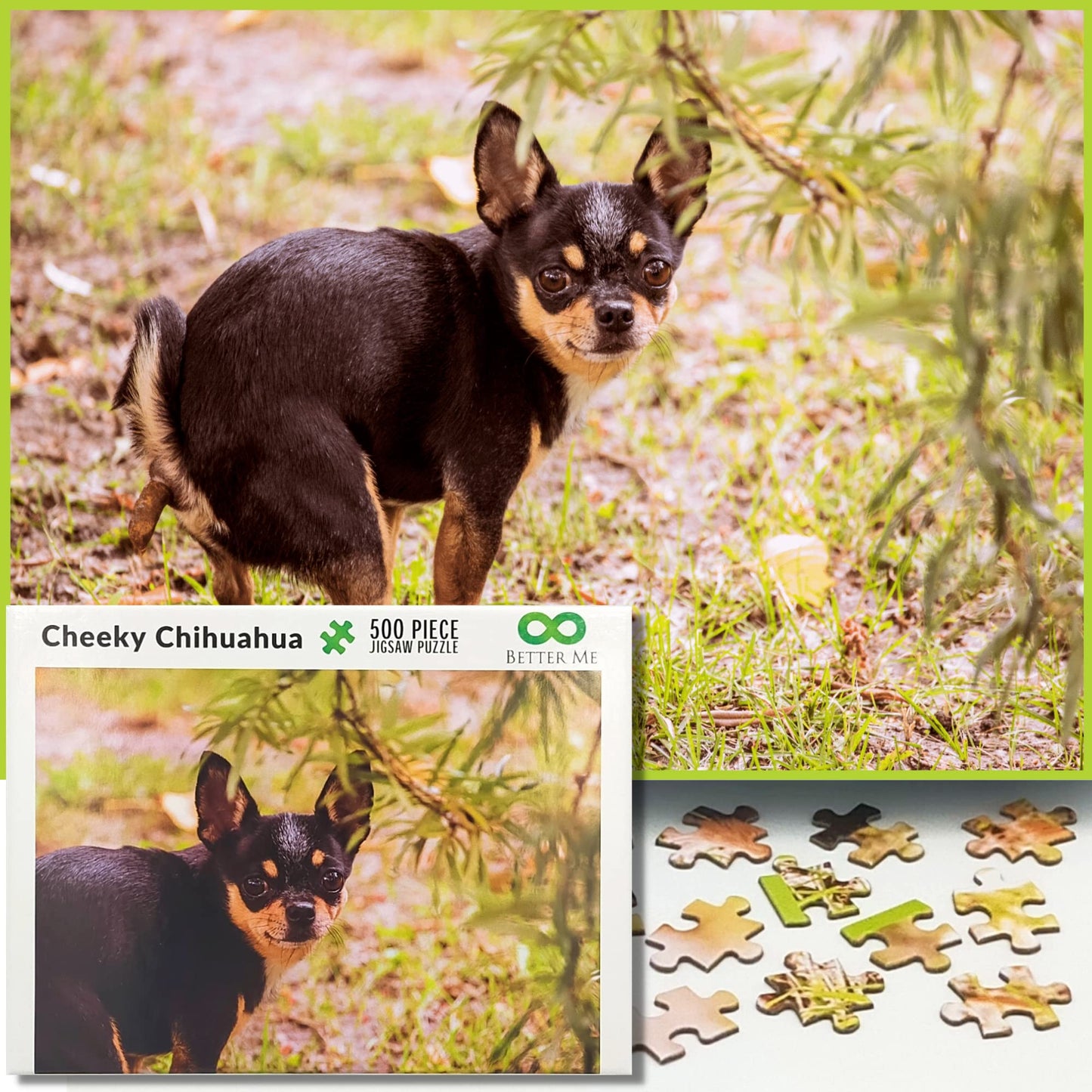 Better Me Prank Puzzle - 500 Piece Cheeky Chihuahua Pooping Dogs Gag Gift for Adults & Teens, Cardboard Fun Puzzle