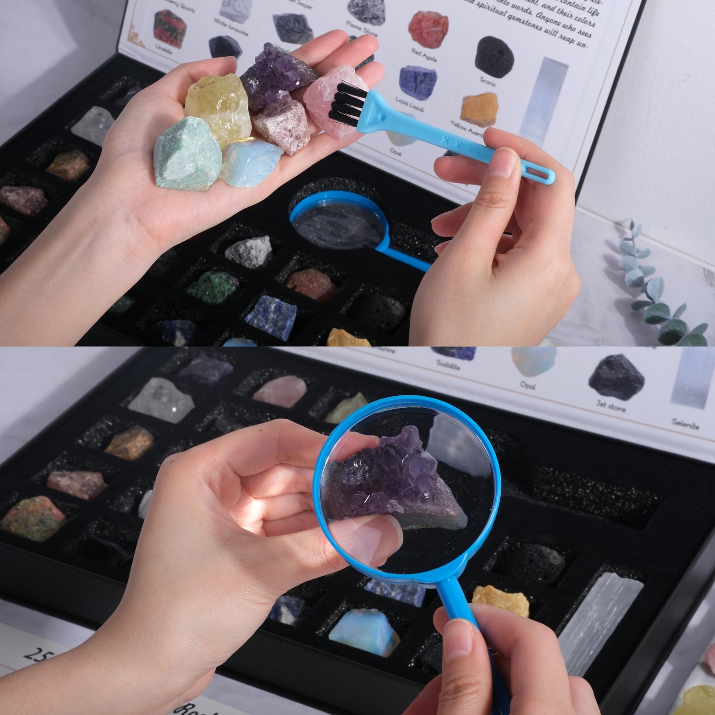 25 PCS Natural Rocks  Minerals & Gems Collection Kit for Kids  Real Crystals Quartz Kit with Learning Guide  STEM Geology Science Toys  Educational Gifts for Boys & Girls