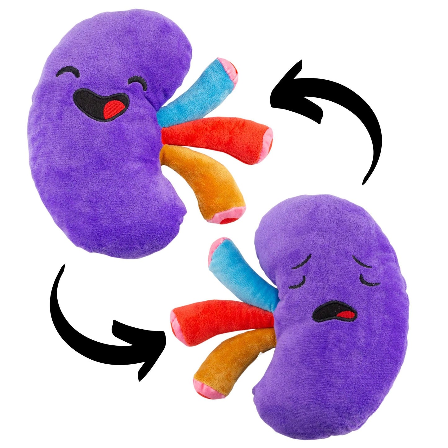 Attatoy Plush Kidney Stuffed Toy - 8.5" Polyester, Purple/Multicolored - Ideal Get Well Gift & Health Education