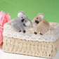 Haakong 12Pcs Koala Clip Koala Pencil Buddy Koala Clip On Koala Pencil Topper Pencil Hungers Animal Koala Birthday