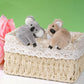 Haakong Koala Clip Pencil Toppers, 8pcs Set, Grey and Khaki, Plastic, Model: Haakong